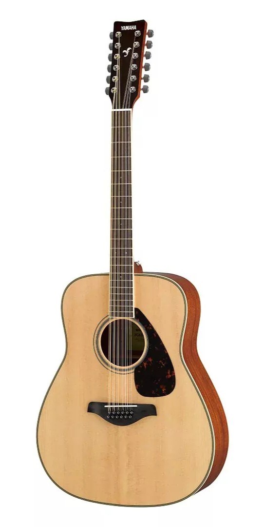 12 String Guitars
