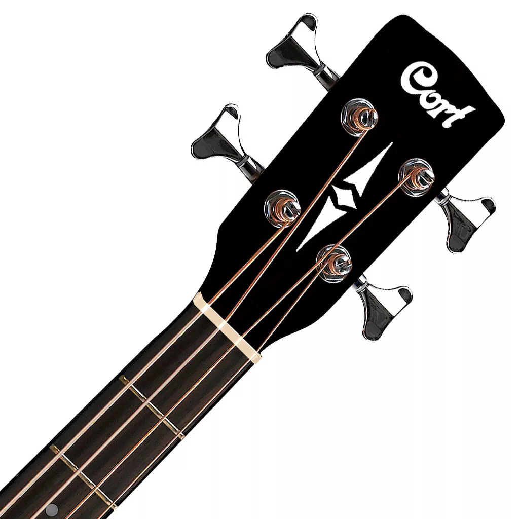 Bass Strings